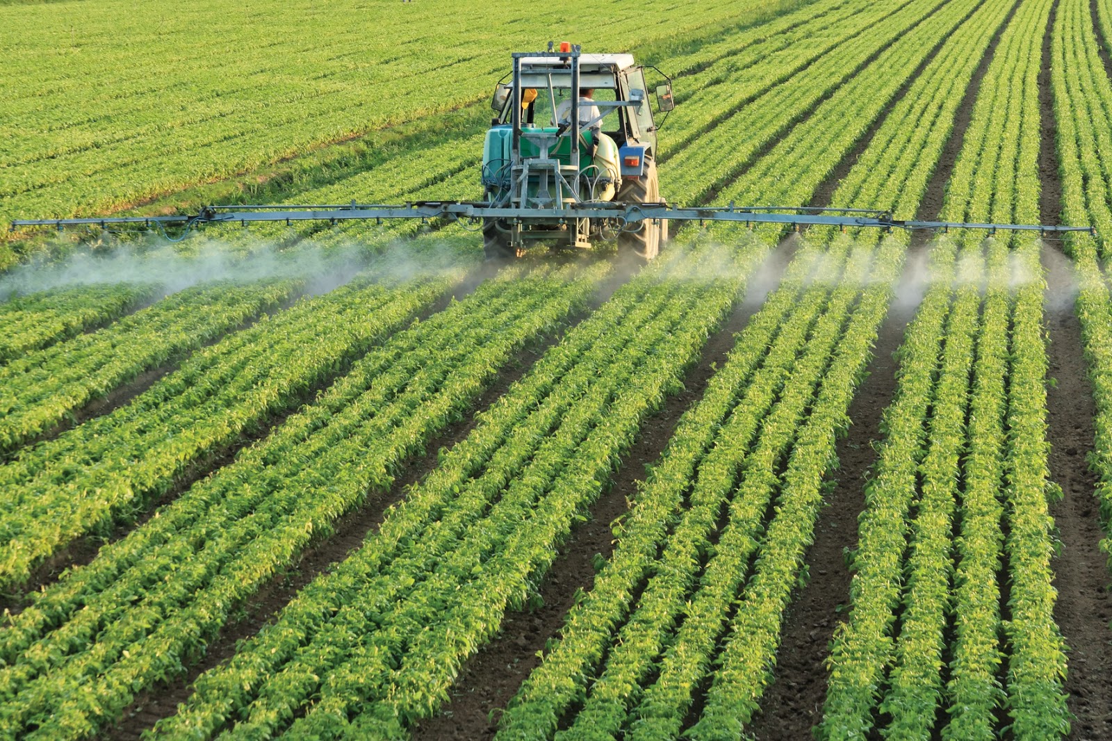El cierre de importaciones, los fertilizantes y los riesgos para la próxima siembra