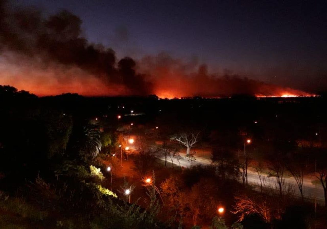 Delta del Paraná : ya son 60 mil las hectáreas afectadas por incendios en lo que va del año
