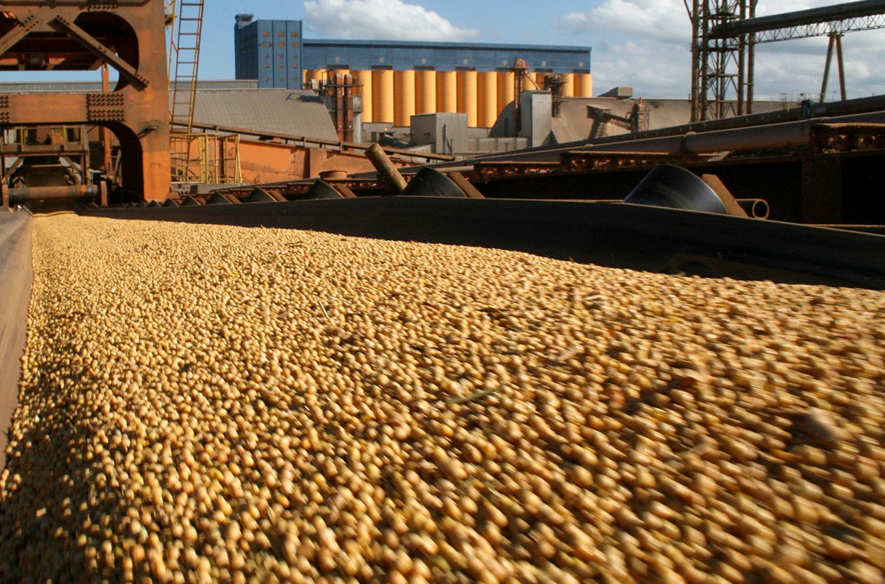 En el campo hay 23,6 millones de toneladas de soja sin vender