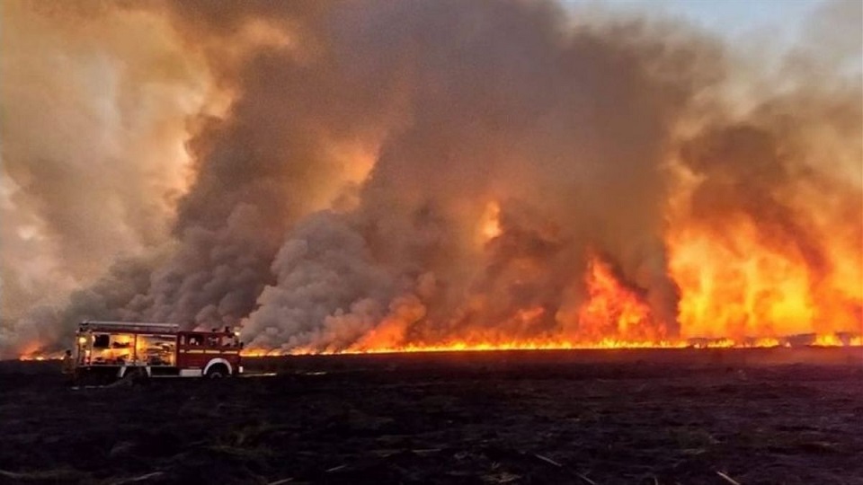 Los incendios en el Delta del Paraná ya consumieron más de 90.000 hectáreas