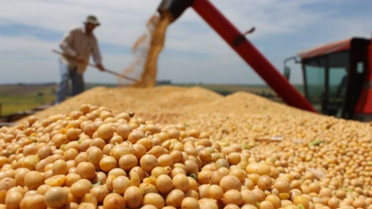 Bcr: El precio de la soja cayó a su nivel más bajo desde julio