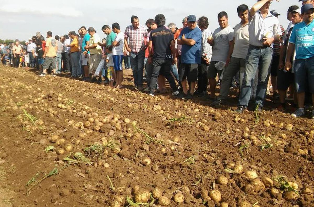 Agropapa el viernes 25 de noviembre posicionando a Córdoba como la segunda productora nacional