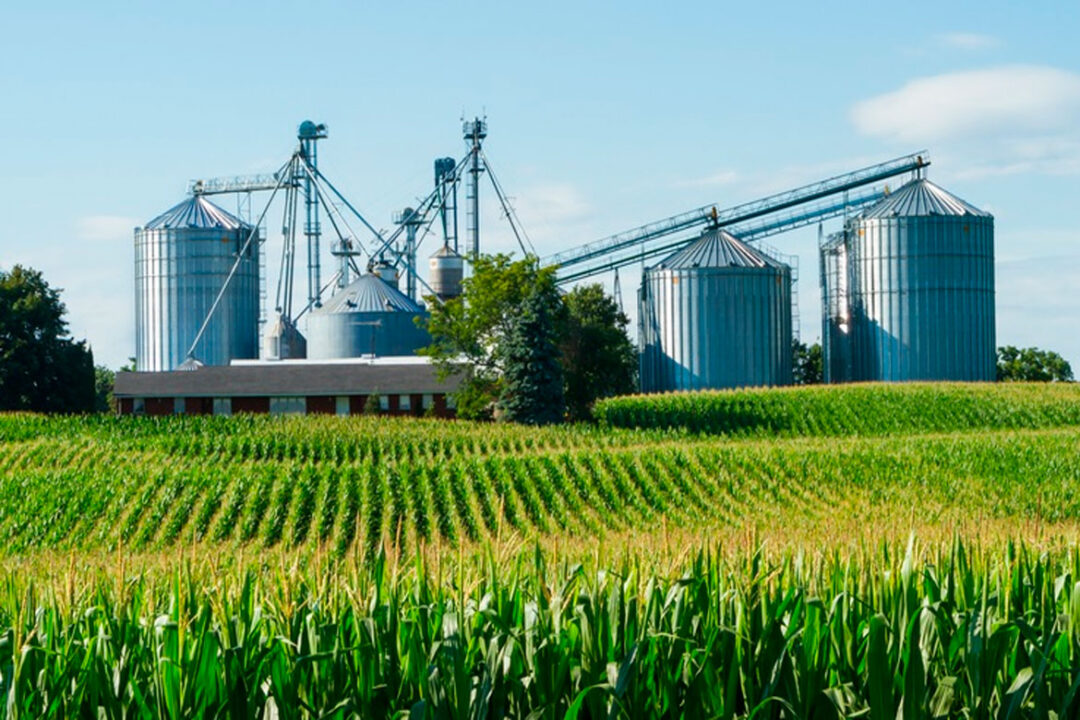 En octubre el Estado se llevó el 61.3% de la renta agrícola