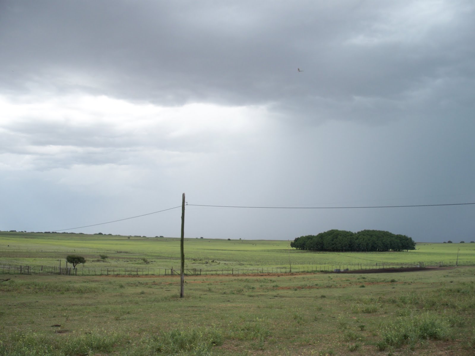 Las lluvias permitirán acelerar siembra de soja y detener deterioro del trigo