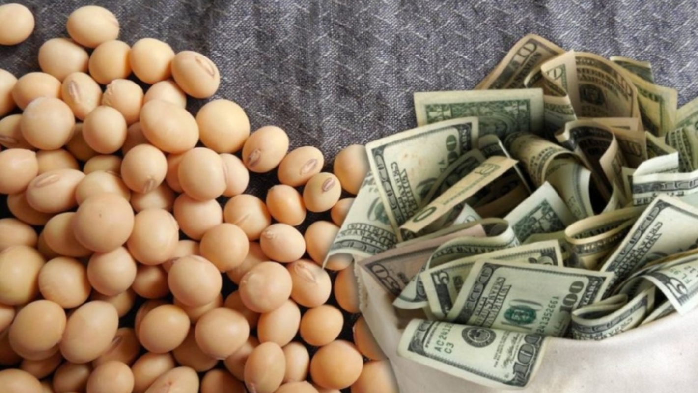 En primer día de reapertura del dólar soja, el BCRA compró US$ 192 millones