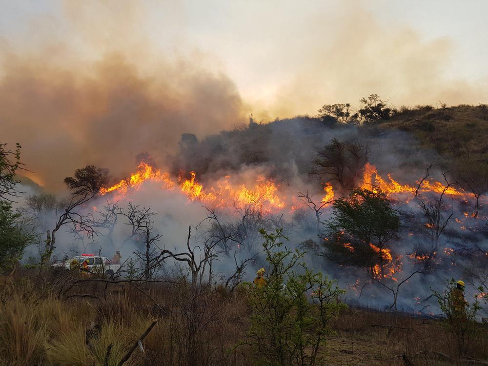 Incendios: la Comisión de Emergencia elevó el pedido de Desastre Agropecuario para 35 mil hectáreas