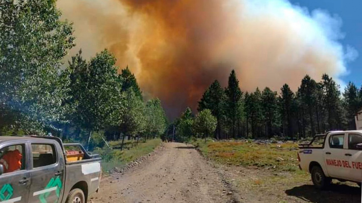 La ineficacia de las autoridades por el tema de los incendios es alarmante, dice CRA