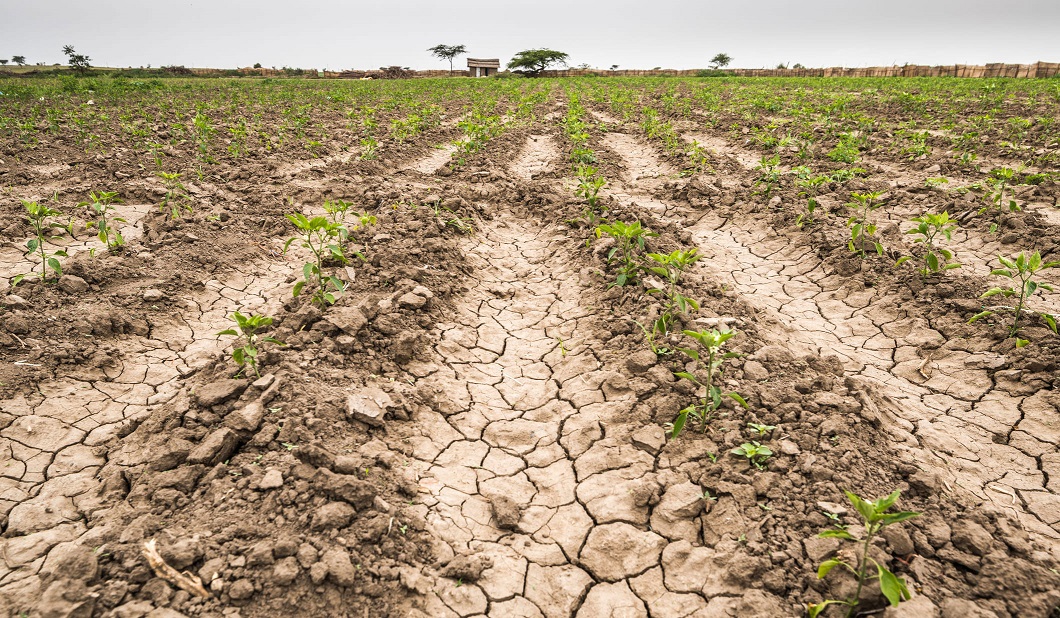 Sequía extrema: los pronósticos climáticos del verano refuerzan la preocupación por el impacto en la economía