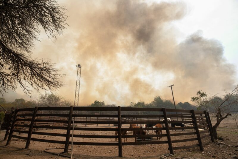 Córdoba solicitó a Nación homologar el decreto de emergencia agropecuaria en 11 departamentos por los incendios