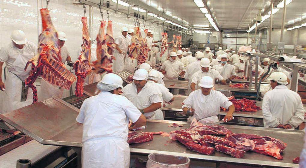 Carne vacuna: Recomposición de precios para poder seguir produciendo