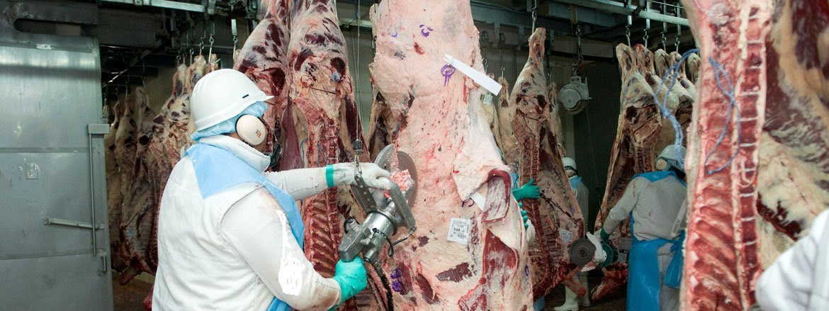 China resultó el principal destino de las carnes argentinas en 2022