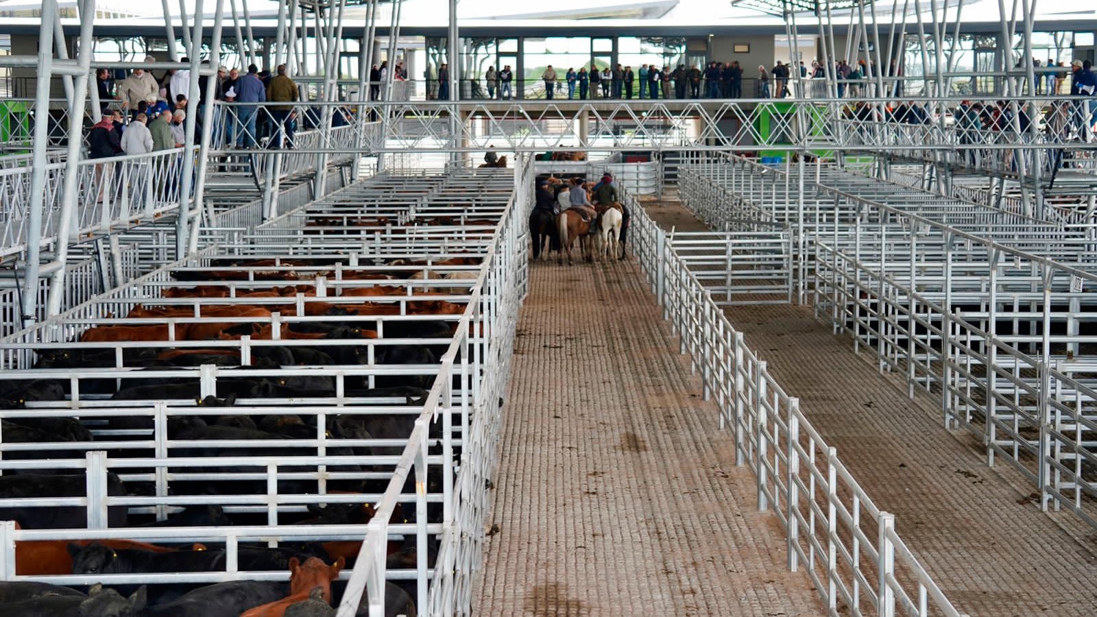 La SRA considera que el aumento de la carne es solo una “adecuación de precios” atrasados