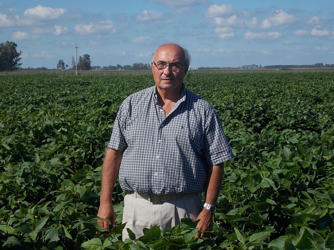 Rodolfo Rossi es el nuevo presidente de Acsoja