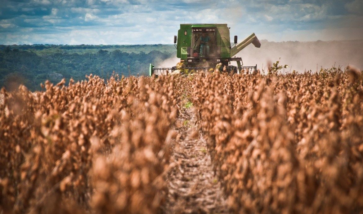 Otro recorte en soja por sequía: la cosecha de la región será solo el 20% de lo que se esperaba producir