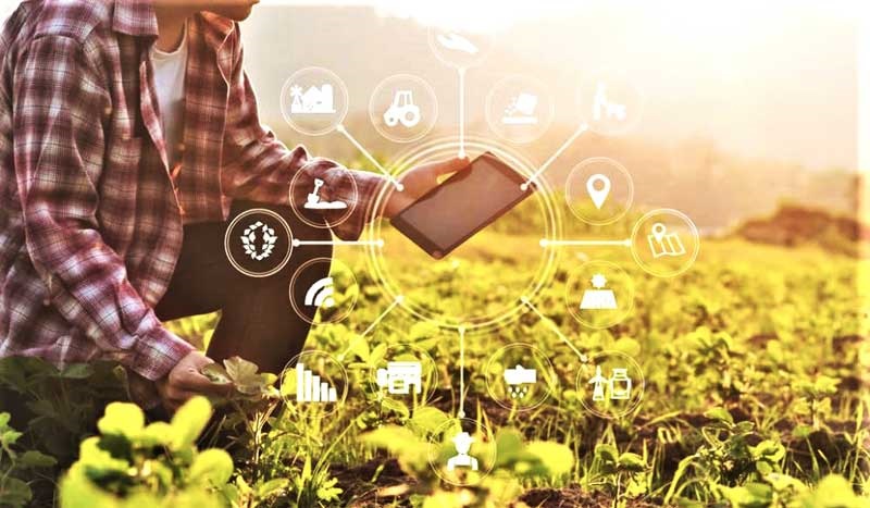 Agronea 2023: la evolución de la Agricultura de precisión en dos nuevos sectores