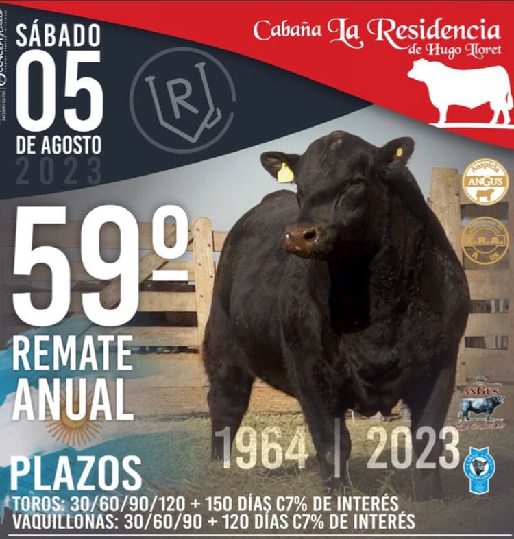 Llega el 59 remate anual de la cabaña La Residencia de Hugo Lloret en Marcos Juárez