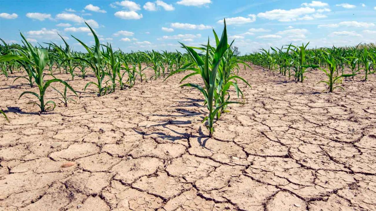 La Fundación Mediterránea le pone números a la sequía