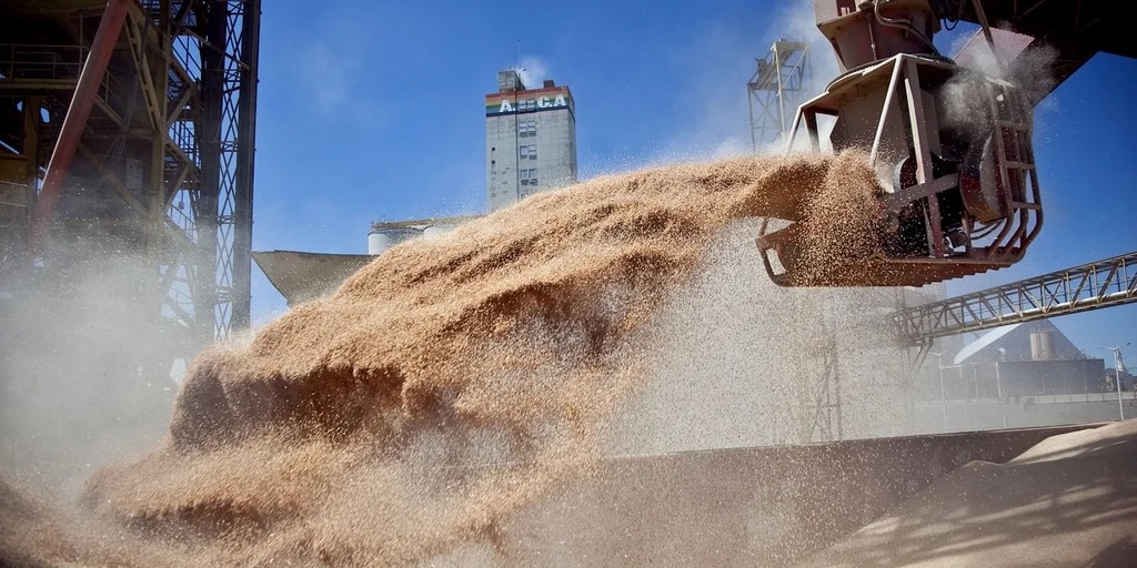 No es sorpresa: la liquidación de divisas de la agroindustria cayó un 50 % en lo que va del año