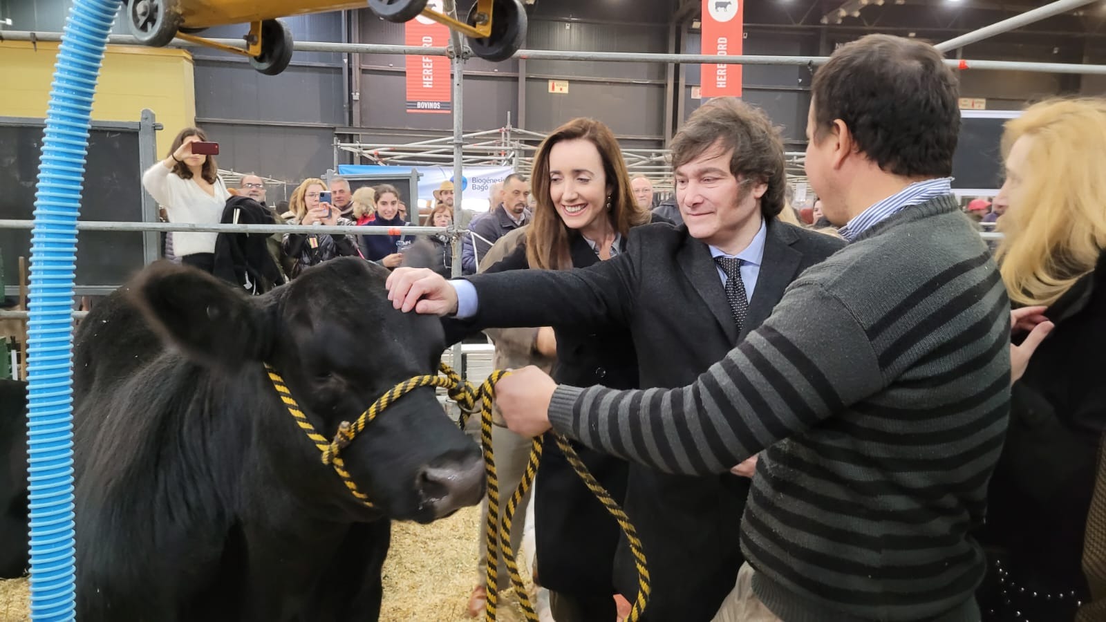 Las propuestas del presidente Milei para el campo que figuran en la plataforma electoral