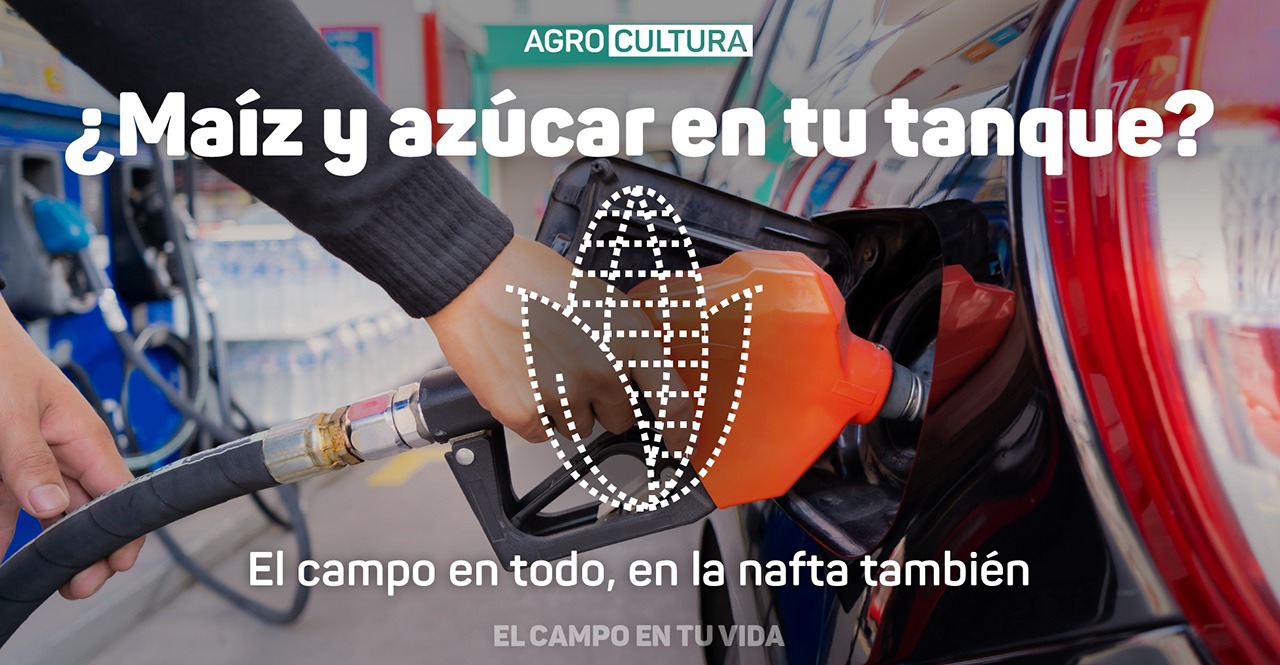 Sabías que cuando cargás nafta le estás poniendo maíz y azúcar a tu tanque?