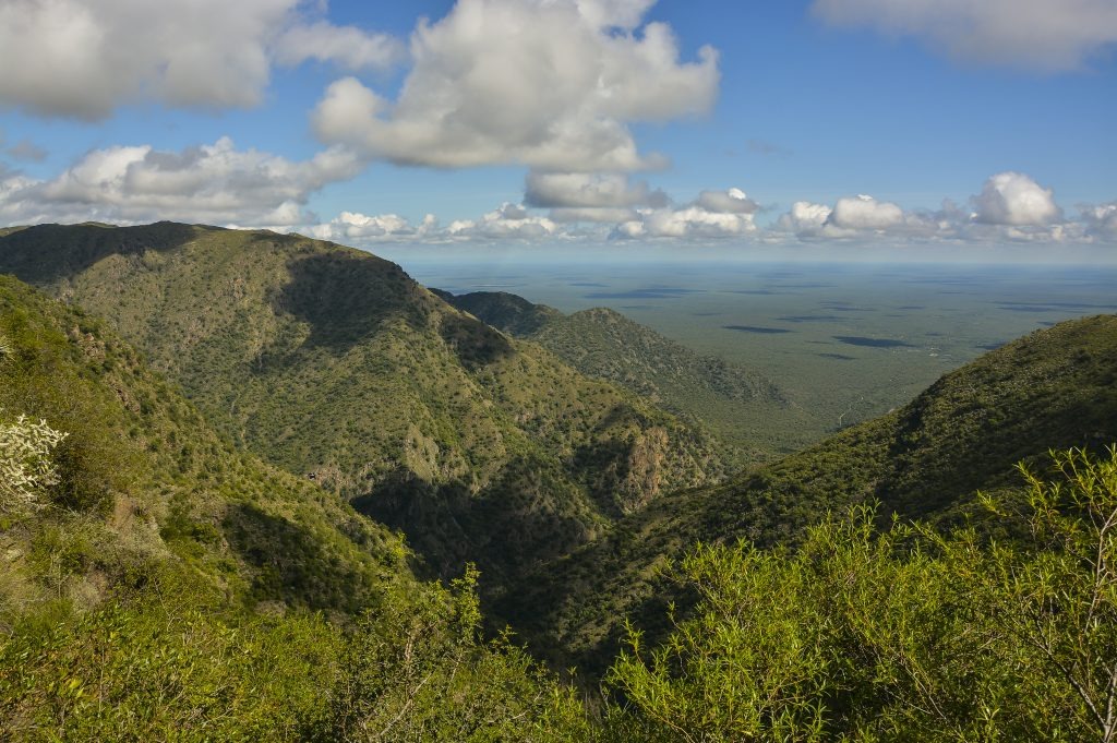 Día Internacional de los Bosques: hay más de 4 millones de hectáreas de áreas protegidas en Córdoba