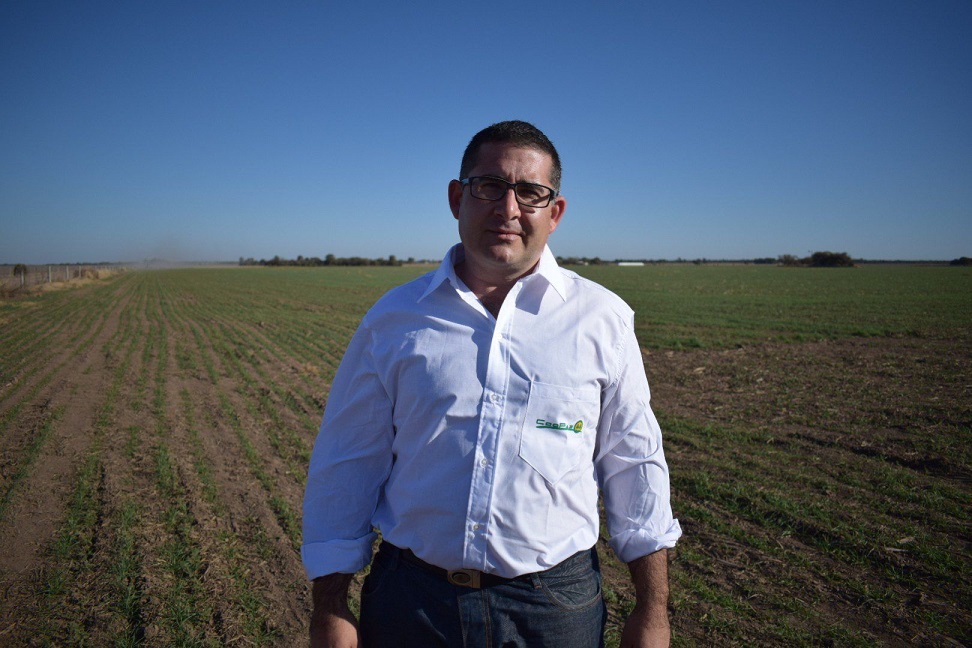 Daniel Chincuini: el viento arrasó con el maíz en algunas locaciones del centro-norte de Córdoba