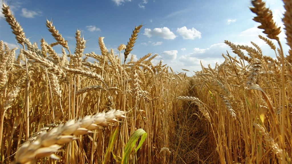 La Mesa de Enlace fue tajante por el trigo: “Hay que anunciar ya una baja de retenciones”