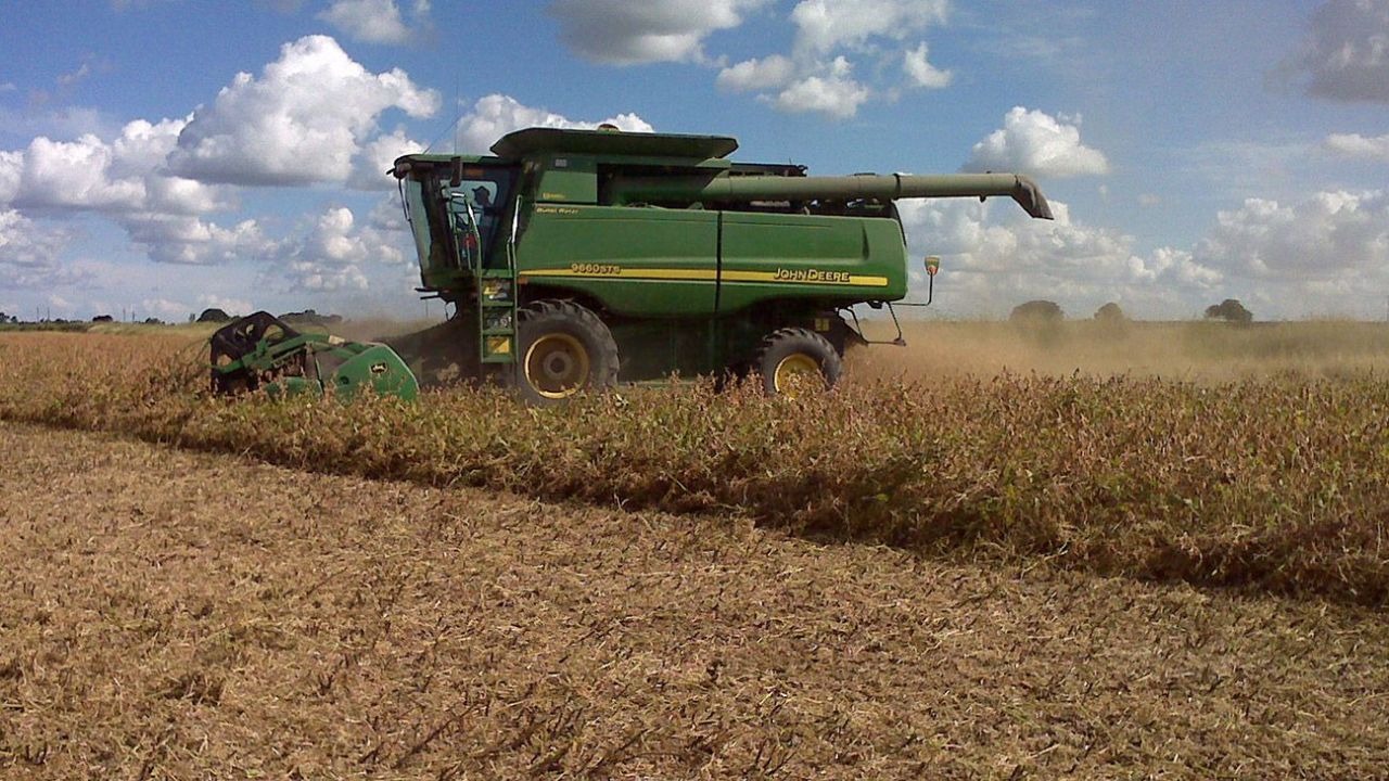 Soja: Primeros lotes de buen rendimiento, pero preocupa la calidad del grano