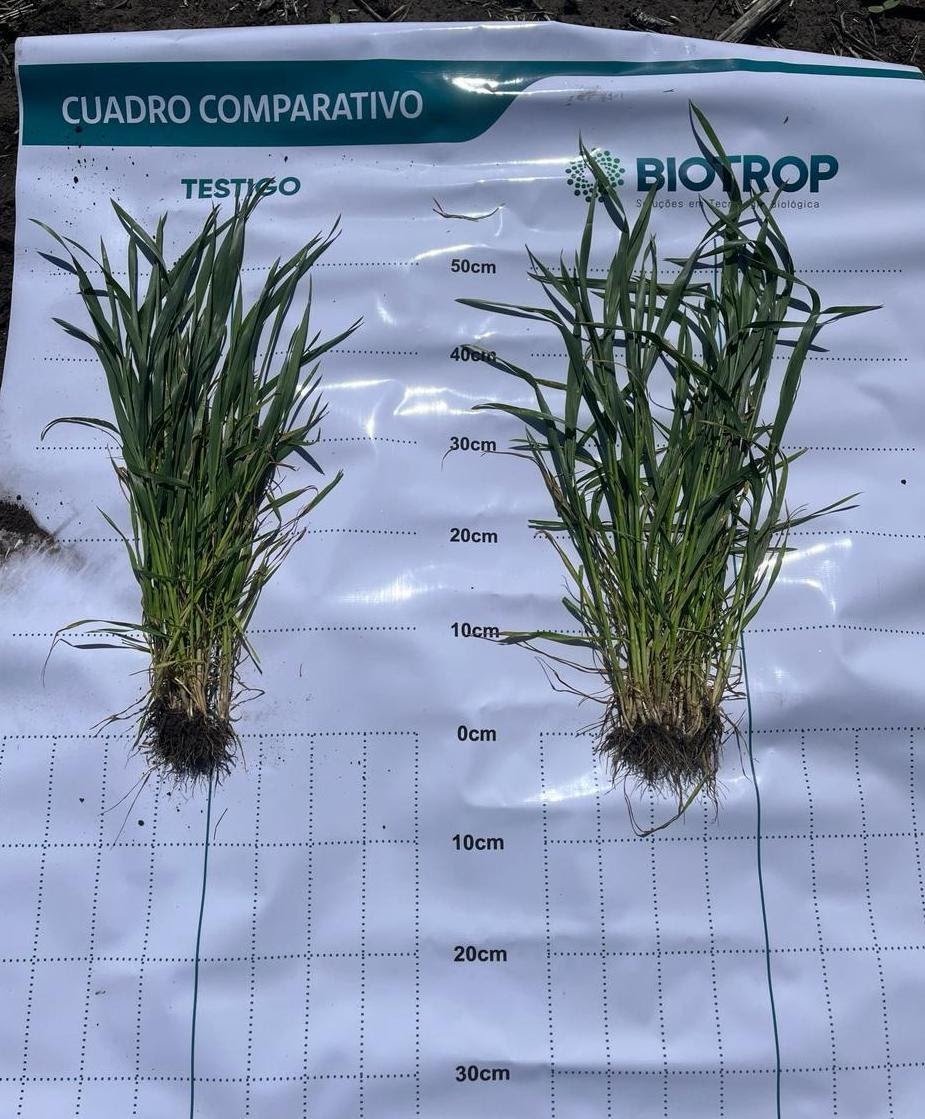 El mercado de biológicos presenta un crecimiento exponencial