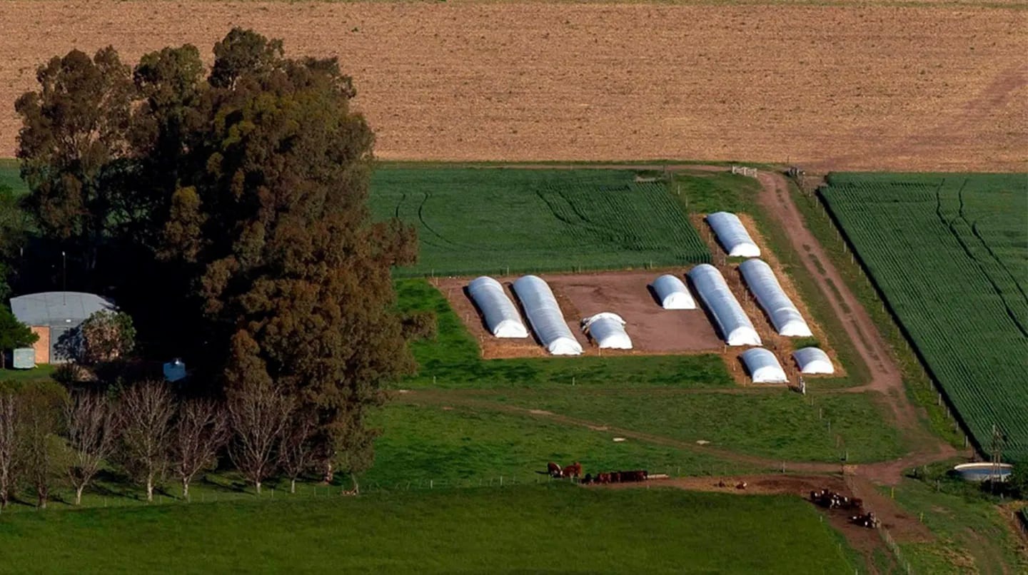 El Gobierno anunció que eliminará los aranceles para importar fertilizantes
