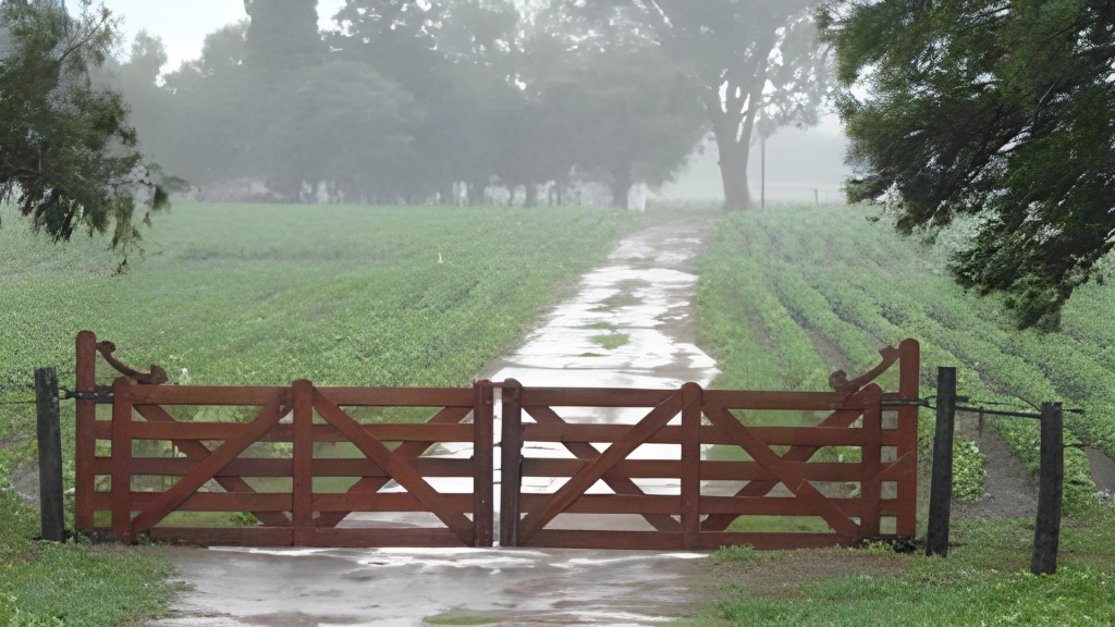 Lluvias del fin de semana: lo bueno, lo malo y algo más sobre su impacto en la región núcleo
