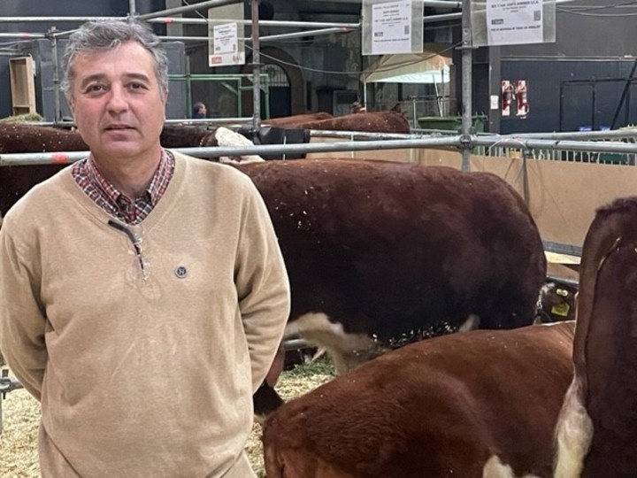Juan Aloé: