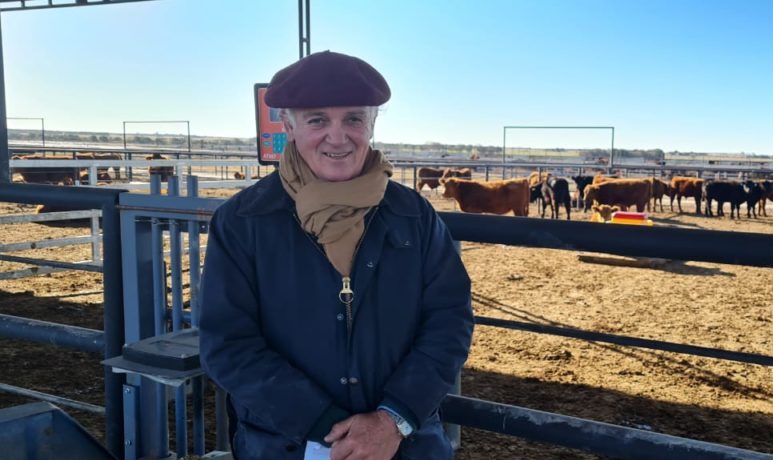 Angus de otoño será una vitrina para cerca de