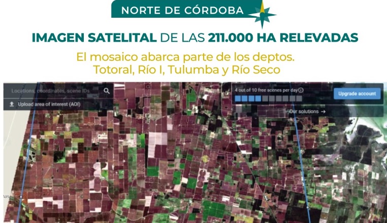 Norte de Córdoba: cuadro de situación de los cultivos
