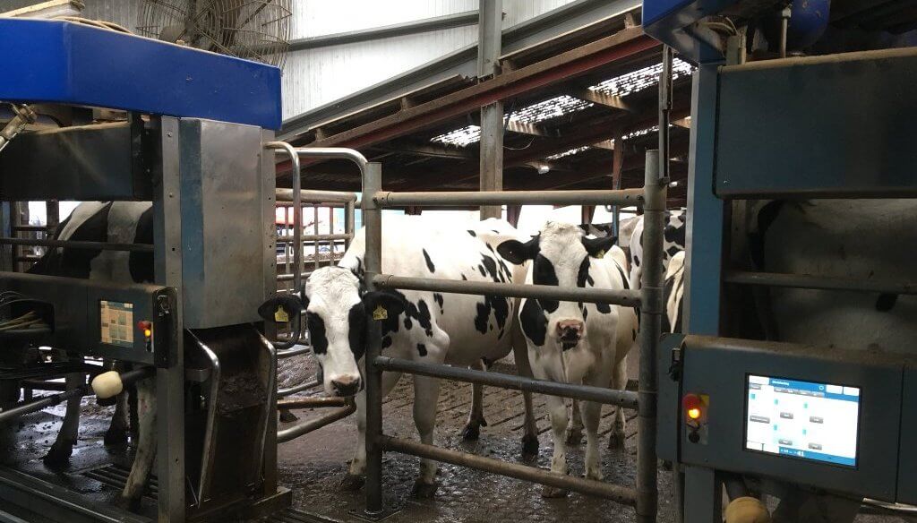 CRA celebró que los lácteos sigan sin retenciones, pero pidió también medidas que lleguen a los tambos
