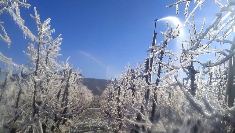 Sigue el frío: hay alerta por bajas temperaturas extremas en tres provincias
