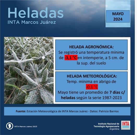 -3.1° C Llegó el frío con todo: segundo evento de helada agronómica