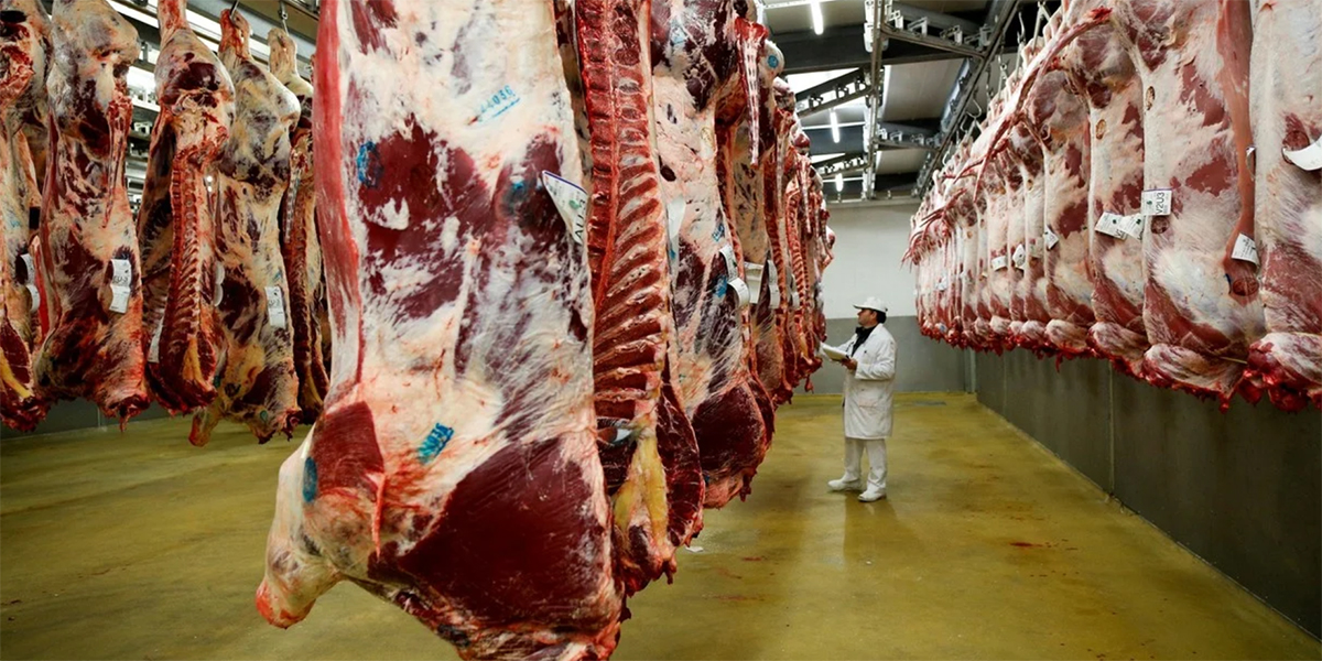 La faena de carne bovina cae menos de lo esperado y se espera un segundo semestre a buen ritmo