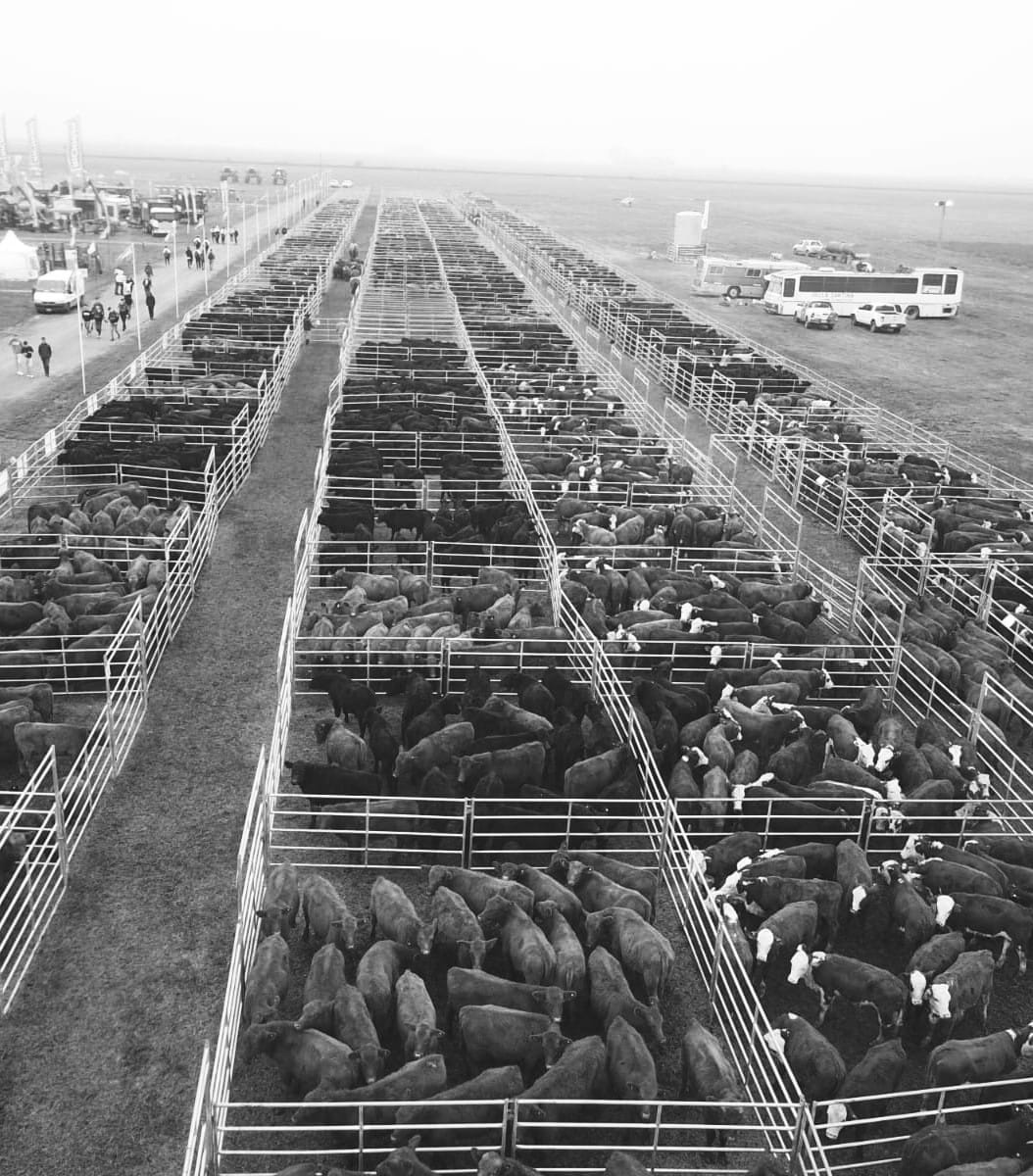 Desde hoy y hasta el viernes 17 se encuentran abiertas las inscripciones para AgroActiva Ganadera
