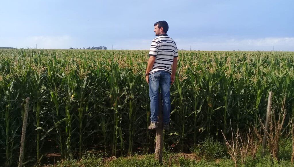 Optimismo agropecuario: el índice de confianza de los productores está 87% más alto que hace un año