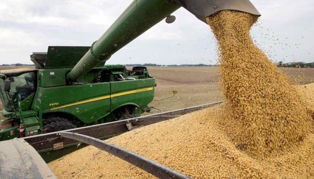 Soja: a pesar de perder 450.000 ha, la región núcleo alcanza casi 18 Mt