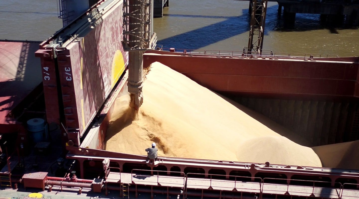 El agro proyecta ingresos “estables por US$ 35.000 millones en exportaciones”