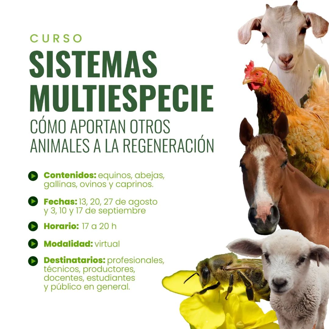 Sistemas multiespecie: cómo aportan otros animales a la regeneración