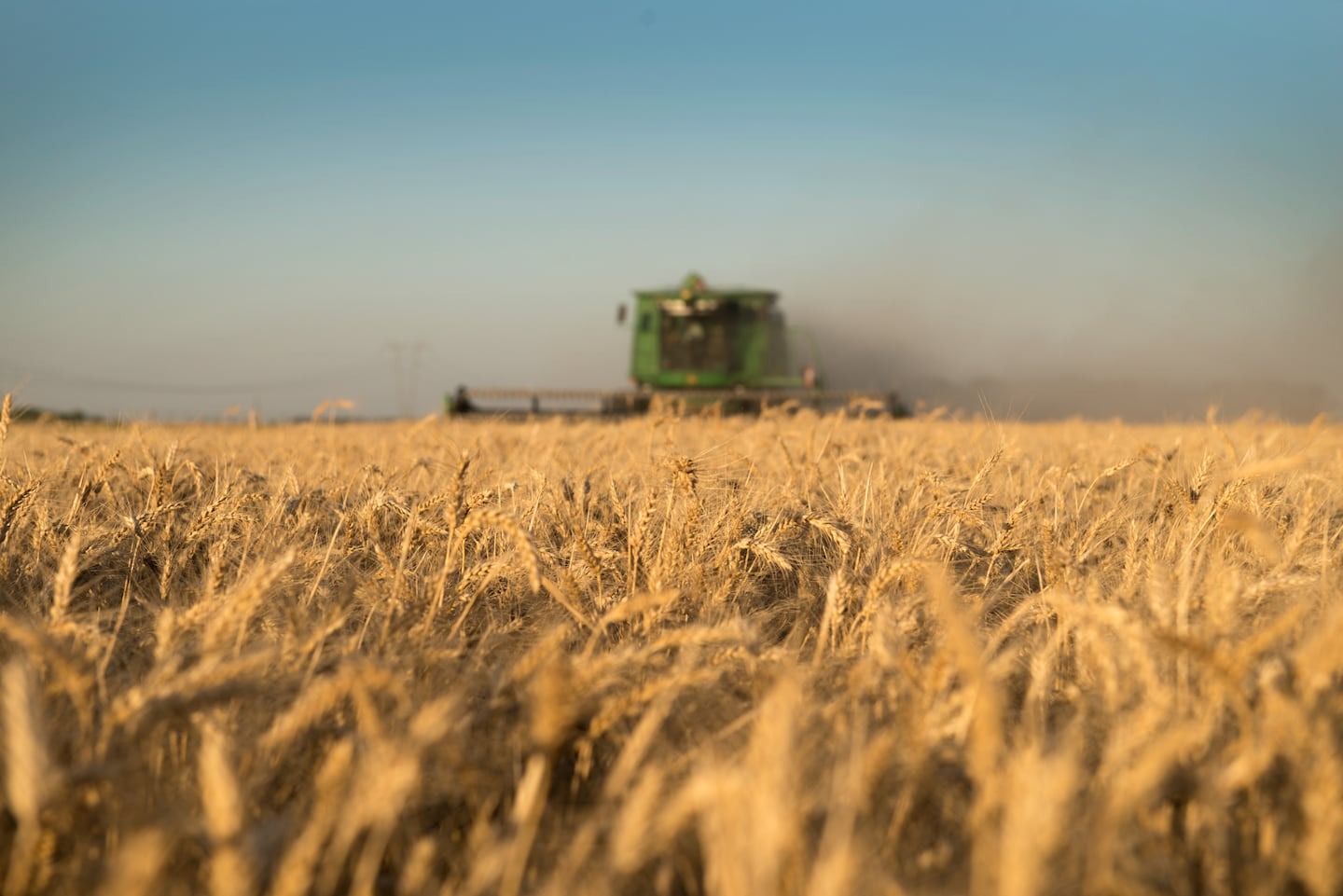 En 2024, las retenciones agrícolas representan el 4,6% de la recaudación total, un 50% más que en 2023