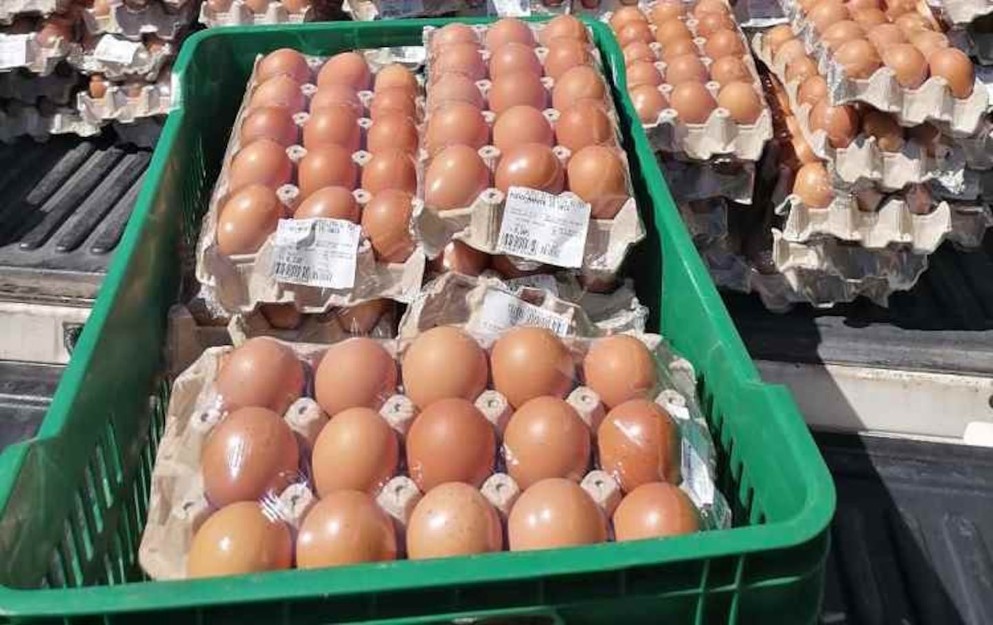 Alerta en las fronteras: crece el contrabando de huevos