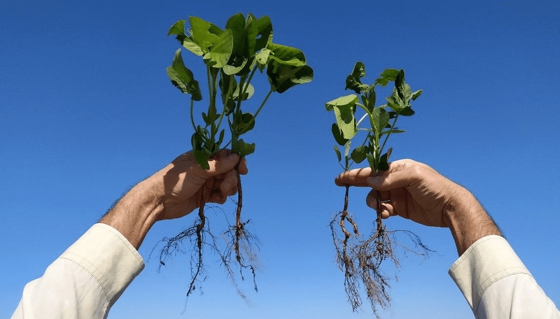 A los biológicos ya los usa el 27,7% de los productores
