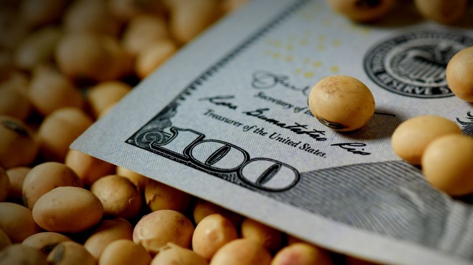 Con el diario del lunes: ¿convenía o no vender la soja?