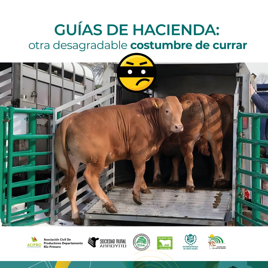 Guias de hacienda: Otra desagradable costumbre de currar