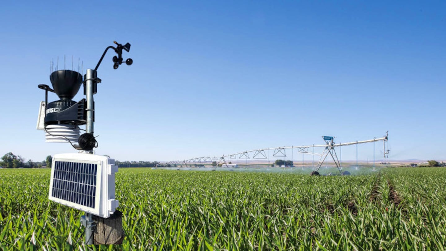 Anticipan un verano caluroso y lluvias variables para la campaña agrícola 2024/25