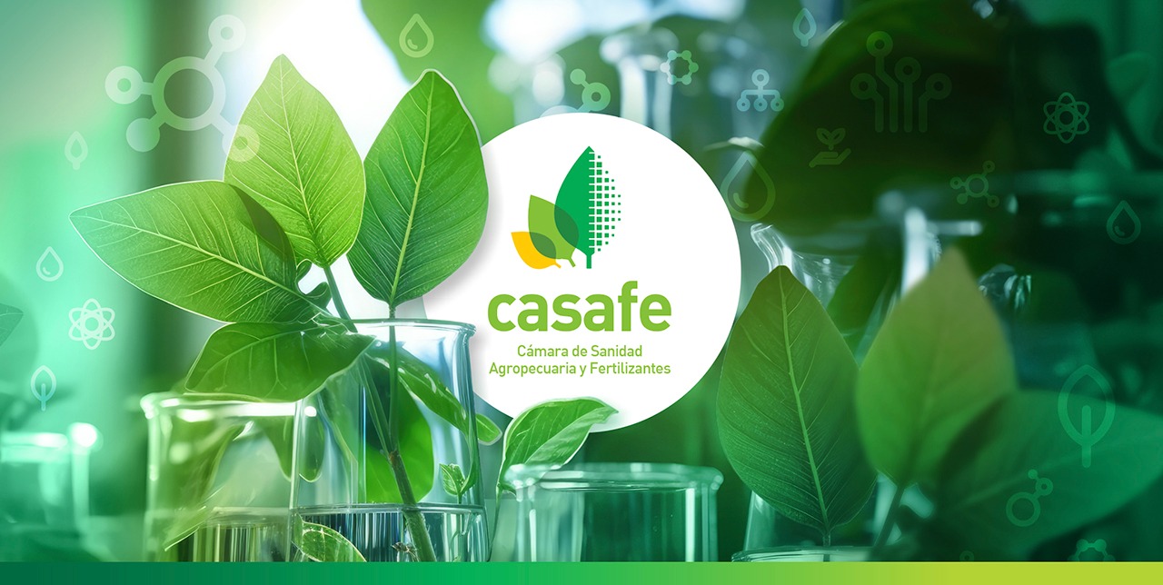 Cultivos sensibles: un compromiso con la agricultura responsable